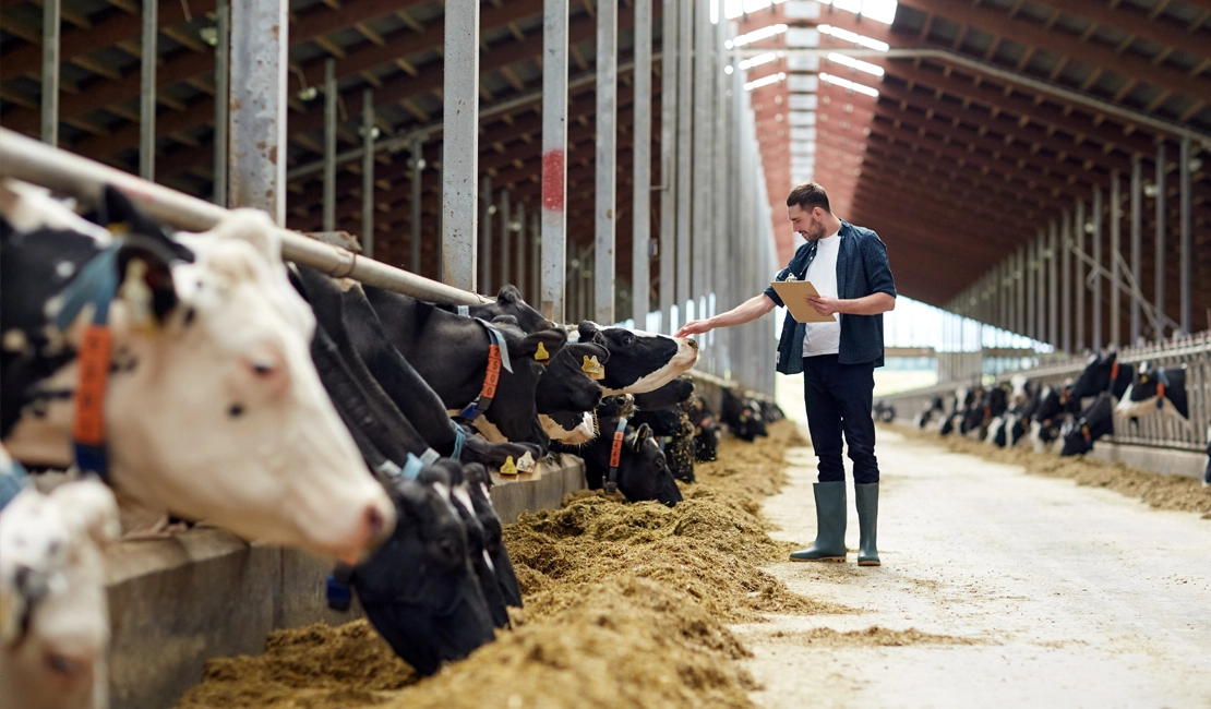 agriculture et l’élevage