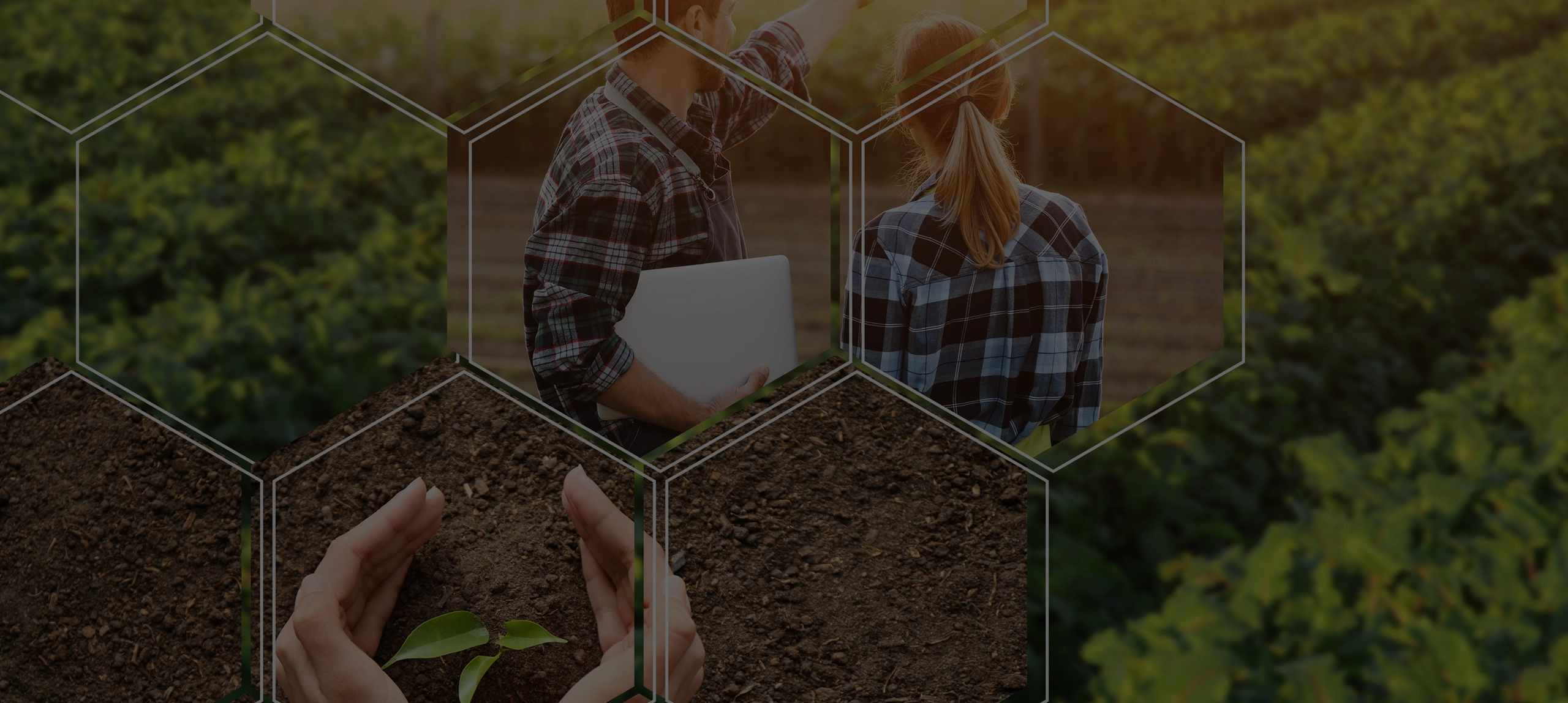 information du monde agricole